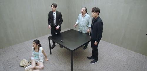 国产鸡情,探寻我国鸡肉产业的崛起之路